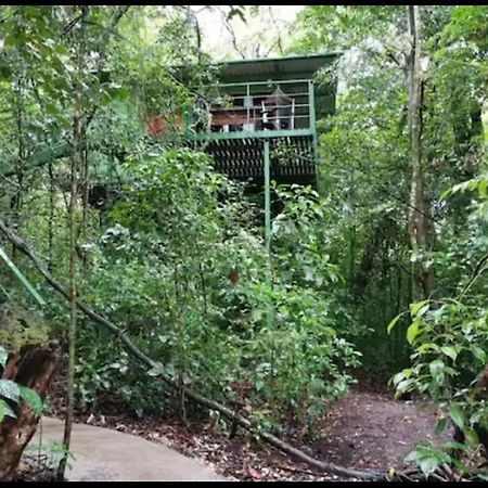 Jungle Living Tree Houses Monteverde Bagian luar foto