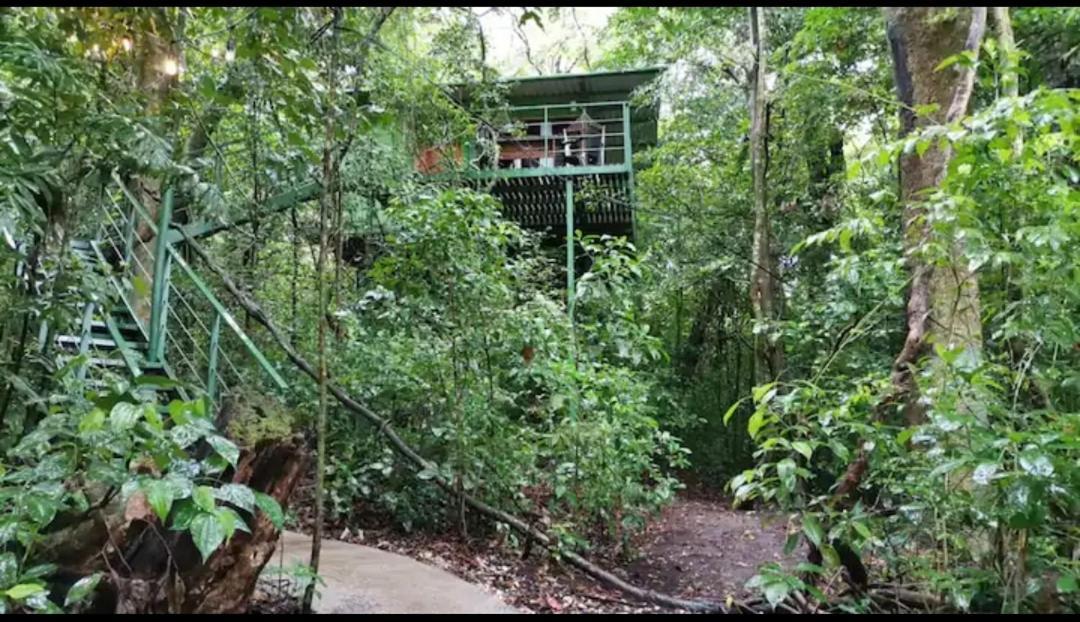 Jungle Living Tree Houses Monteverde Bagian luar foto