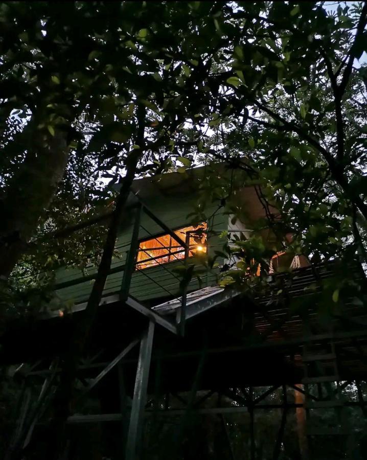 Jungle Living Tree Houses Monteverde Bagian luar foto