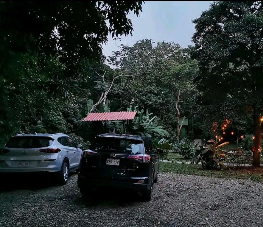 Jungle Living Tree Houses Monteverde Bagian luar foto