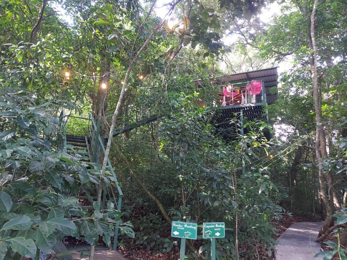 Jungle Living Tree Houses Monteverde Bagian luar foto