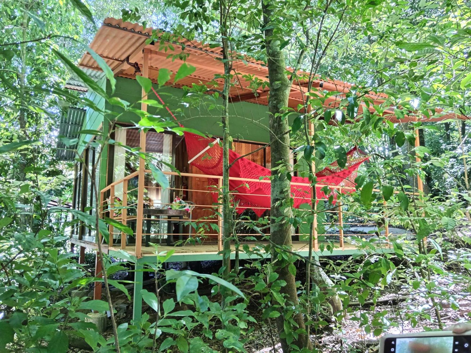 Jungle Living Tree Houses Monteverde Bagian luar foto