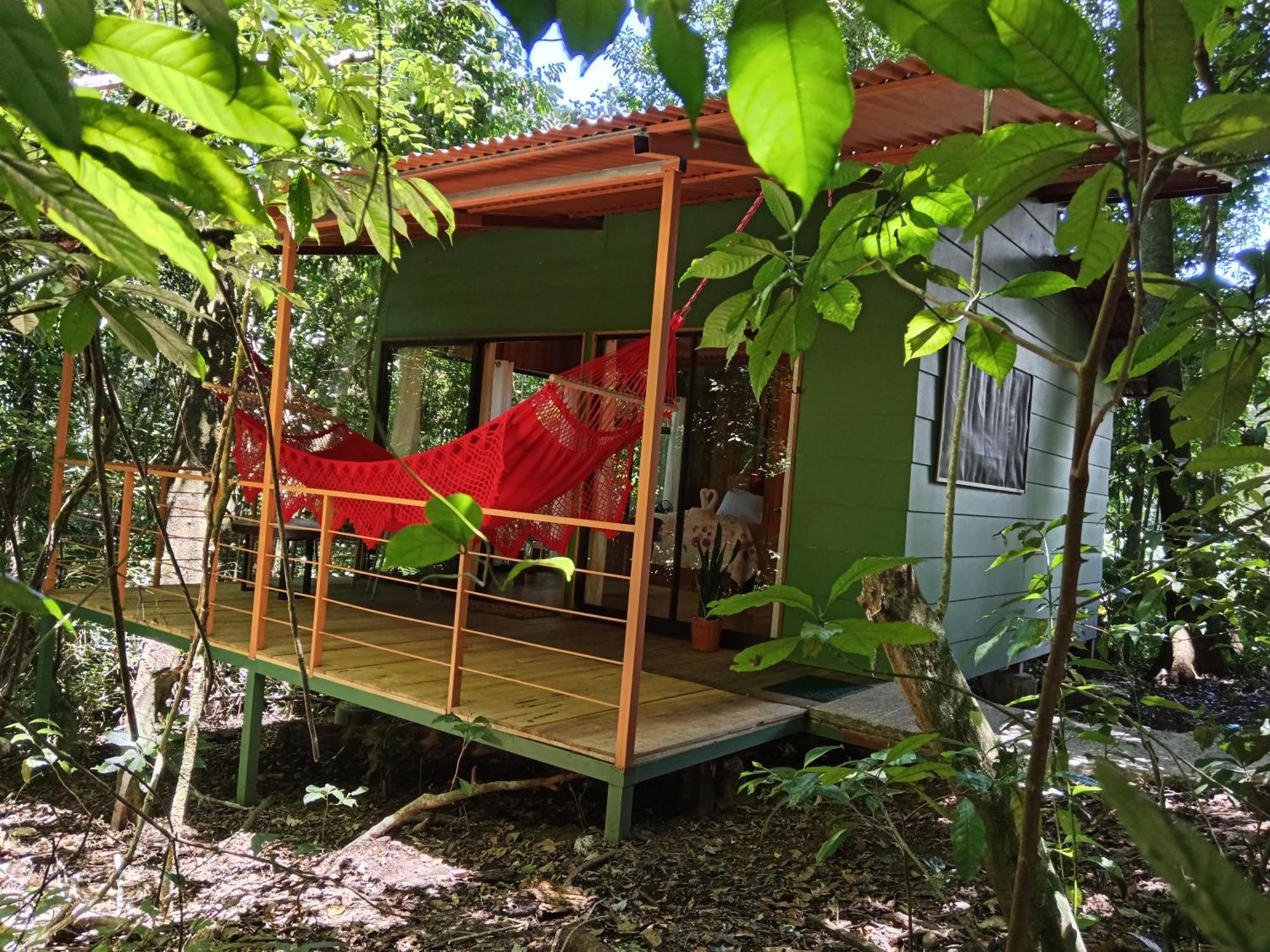 Jungle Living Tree Houses Monteverde Bagian luar foto