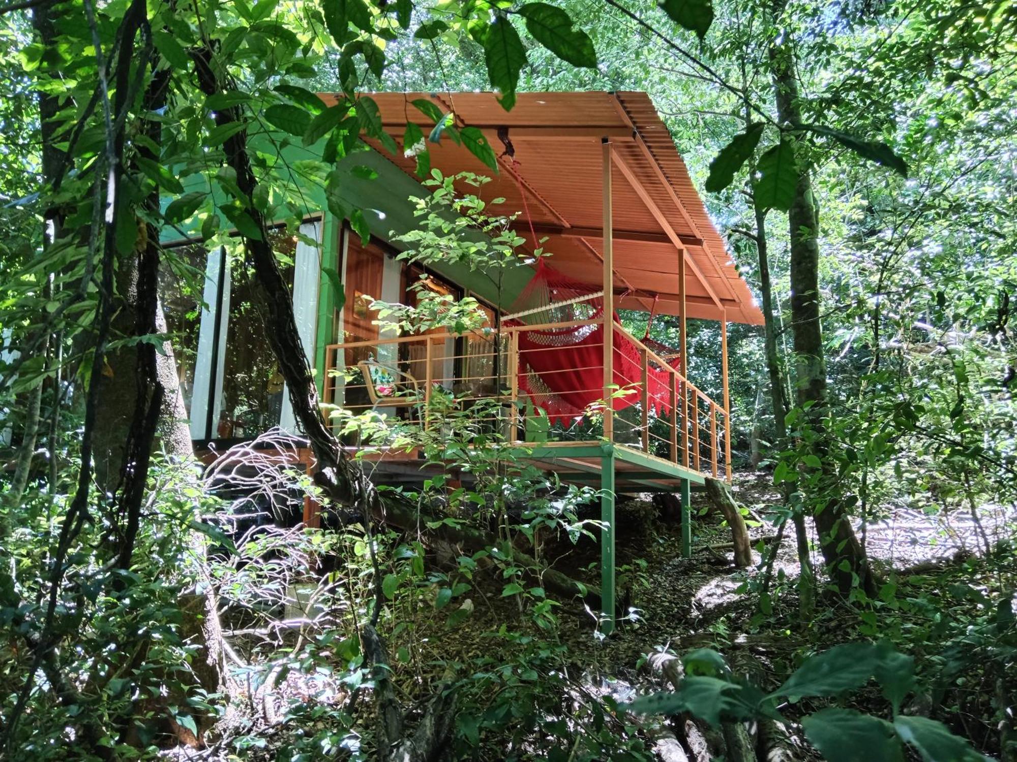 Jungle Living Tree Houses Monteverde Bagian luar foto