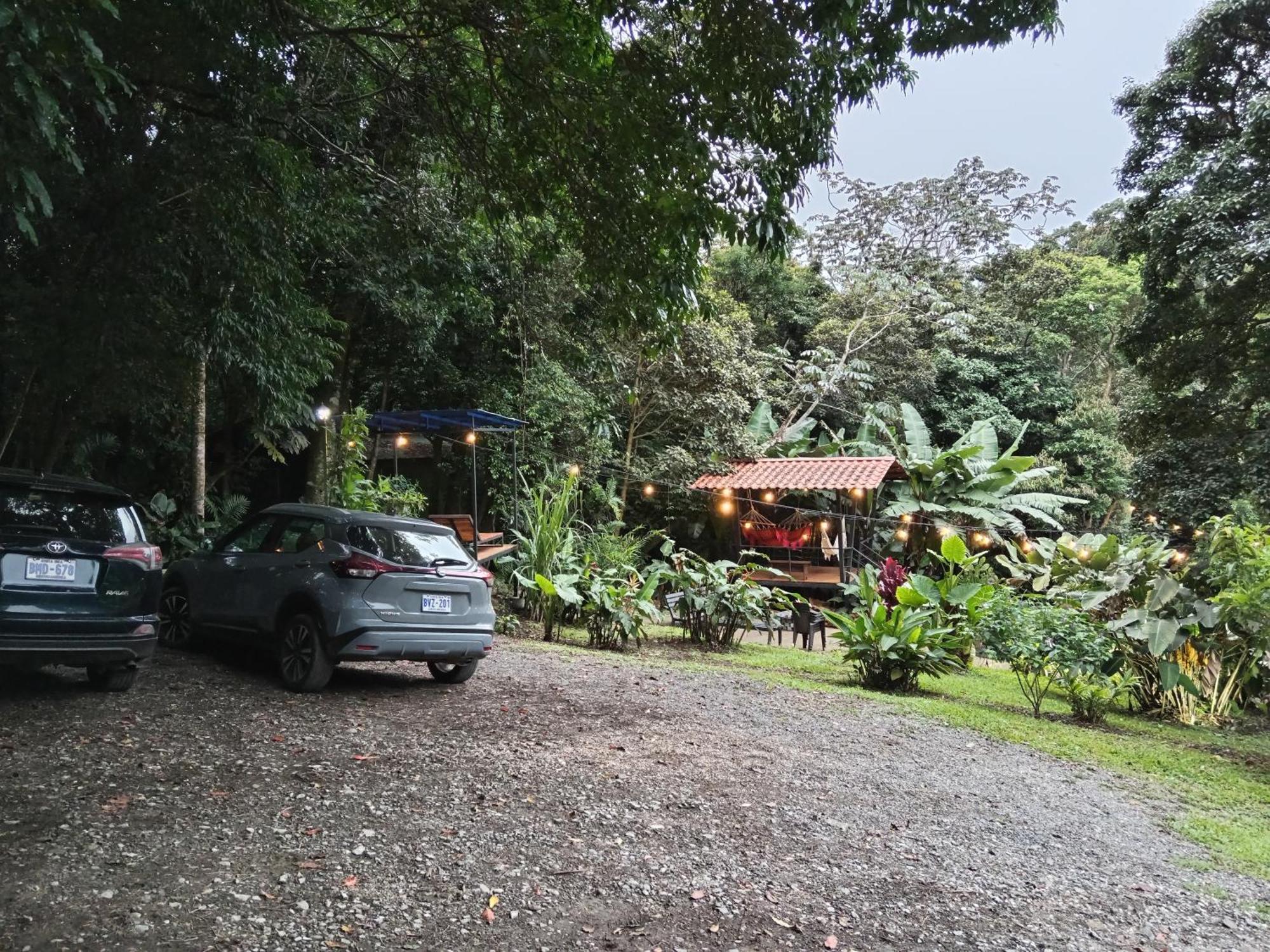 Jungle Living Tree Houses Monteverde Bagian luar foto