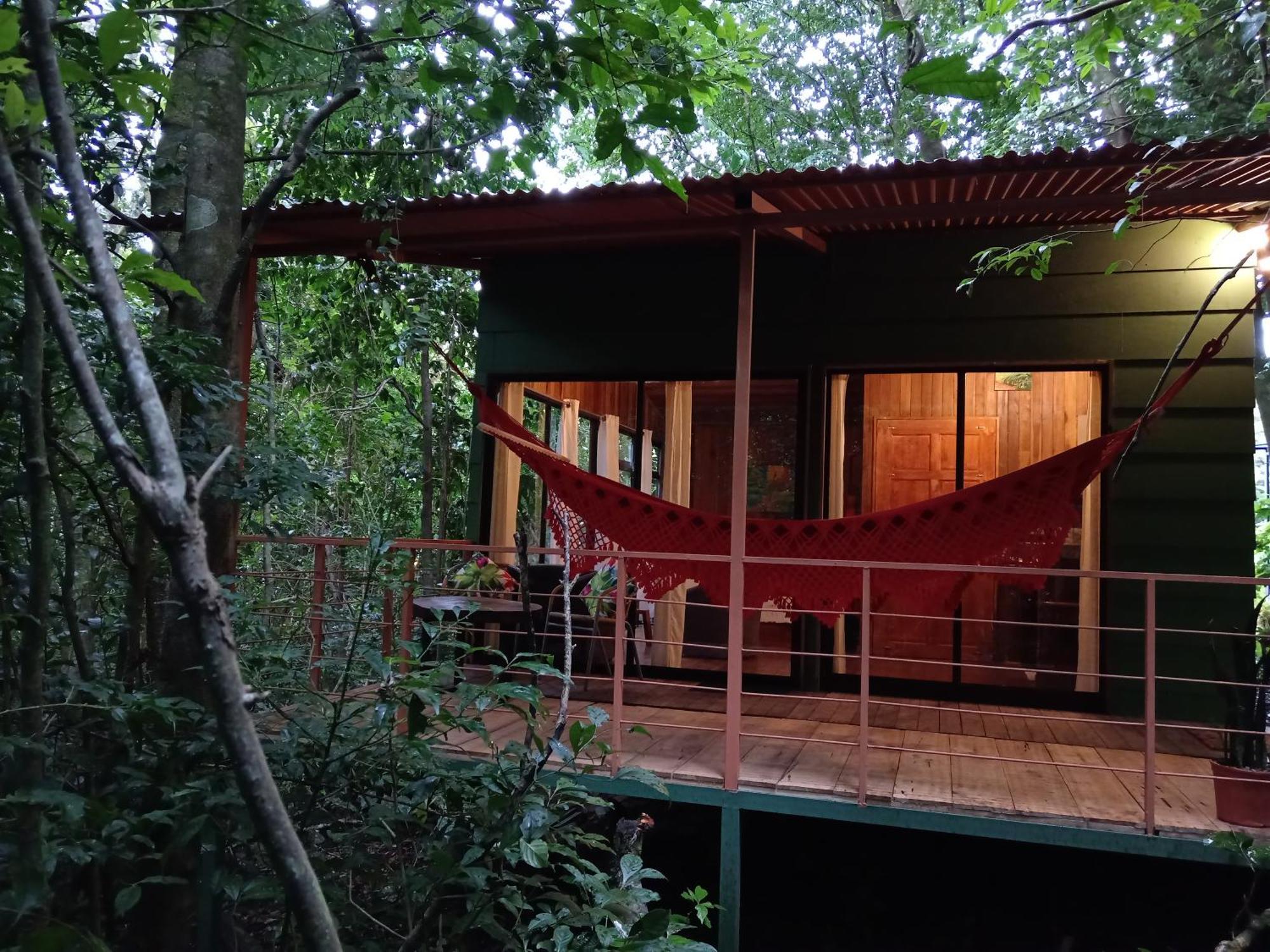 Jungle Living Tree Houses Monteverde Bagian luar foto