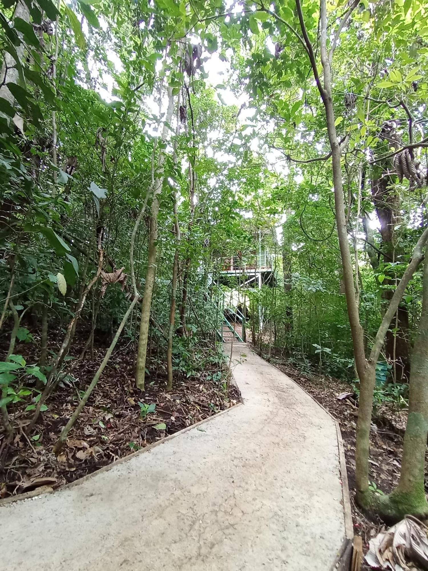 Jungle Living Tree Houses Monteverde Bagian luar foto