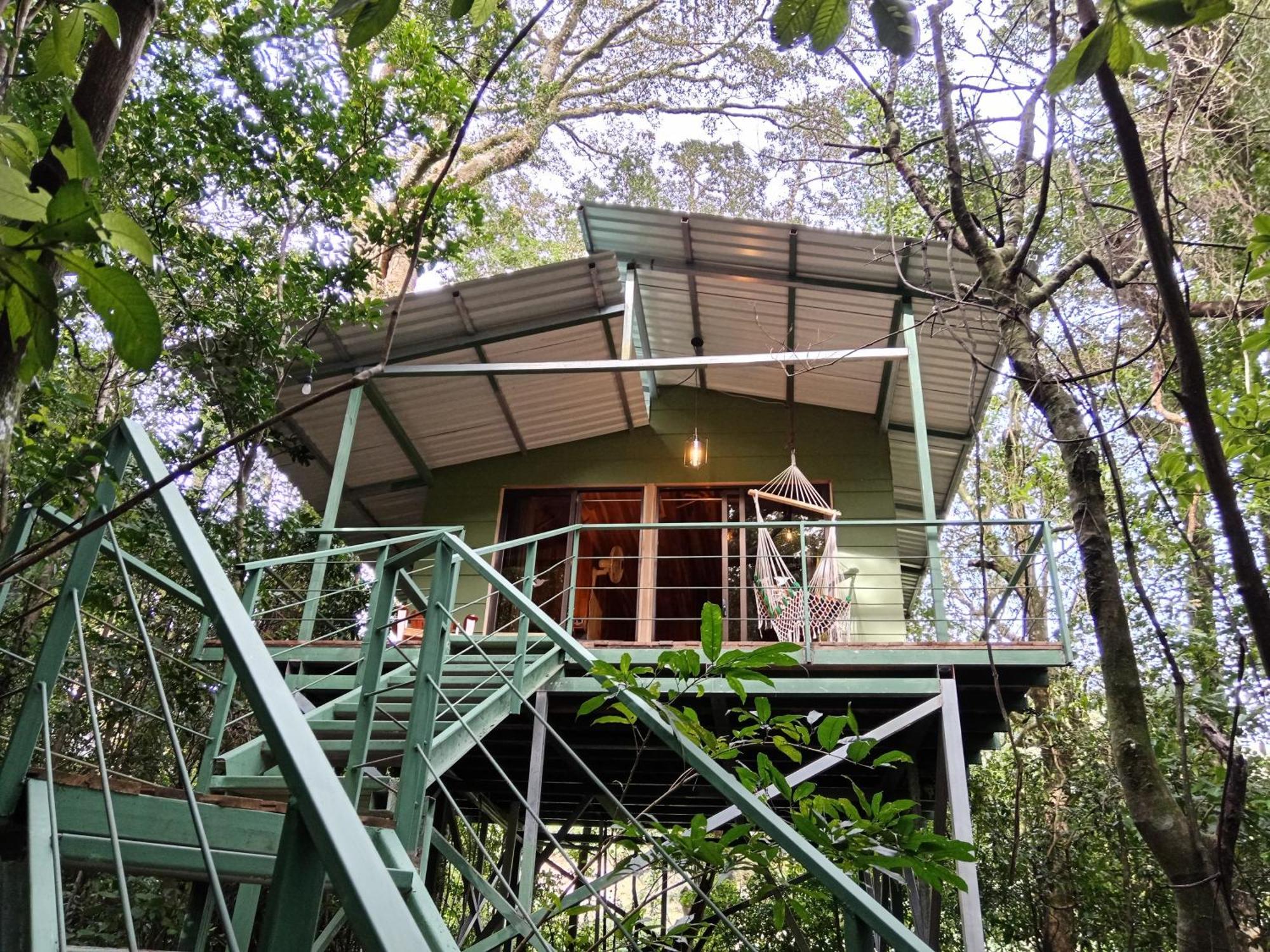 Jungle Living Tree Houses Monteverde Bagian luar foto