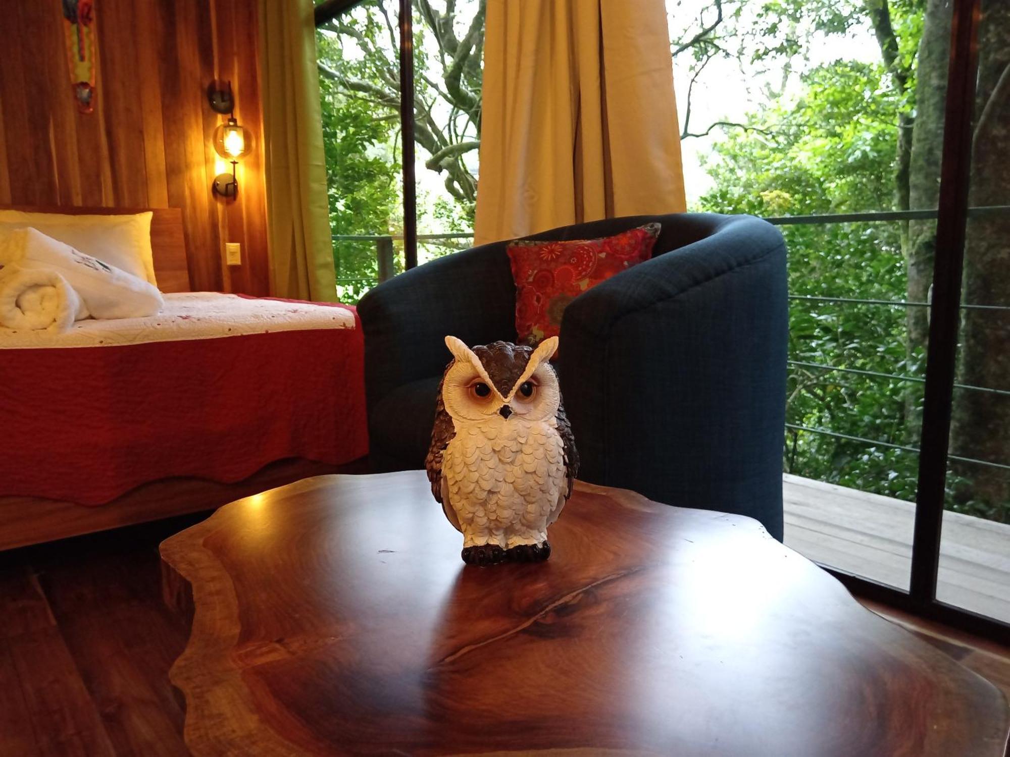 Jungle Living Tree Houses Monteverde Bagian luar foto