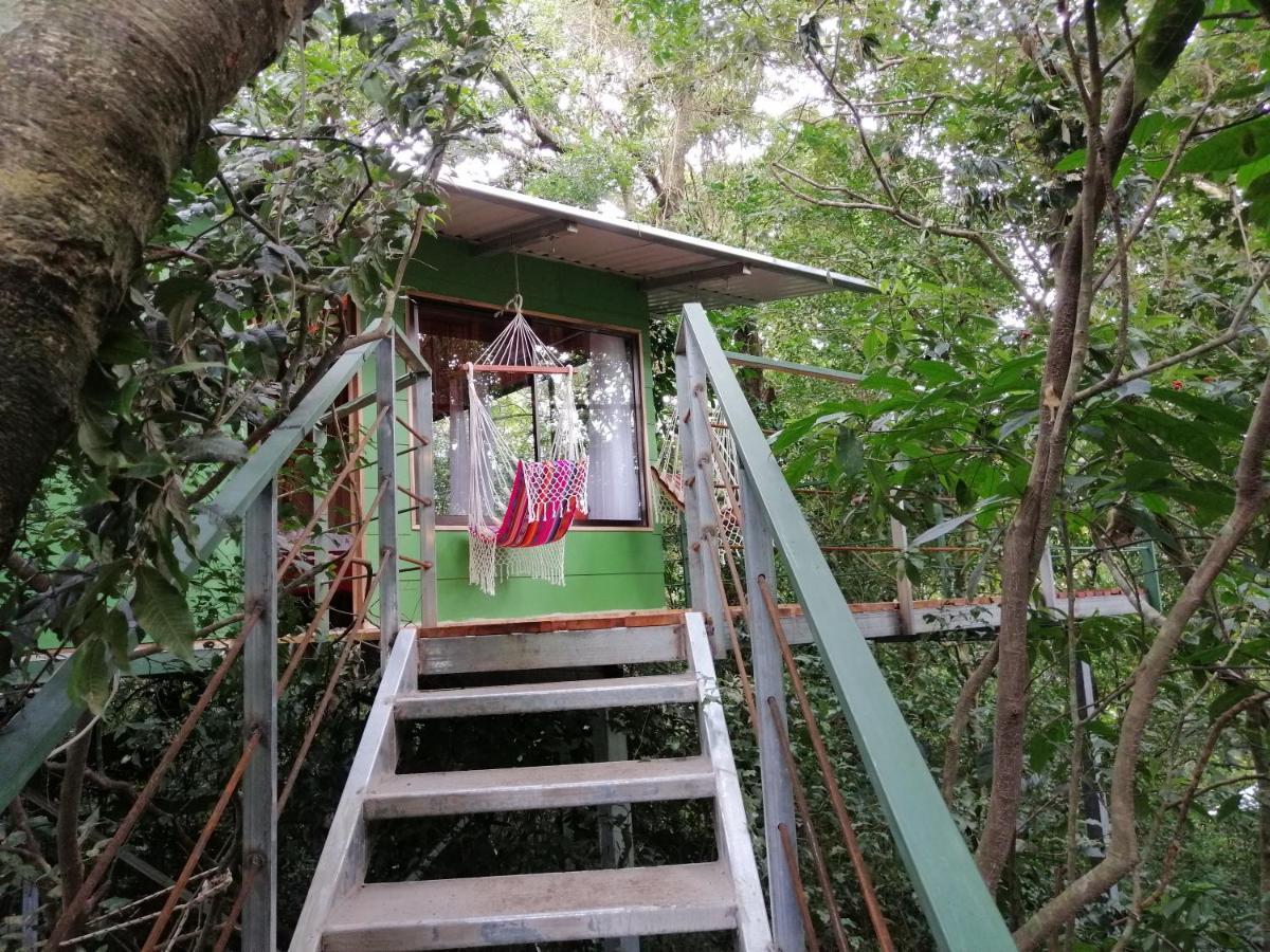 Jungle Living Tree Houses Monteverde Bagian luar foto